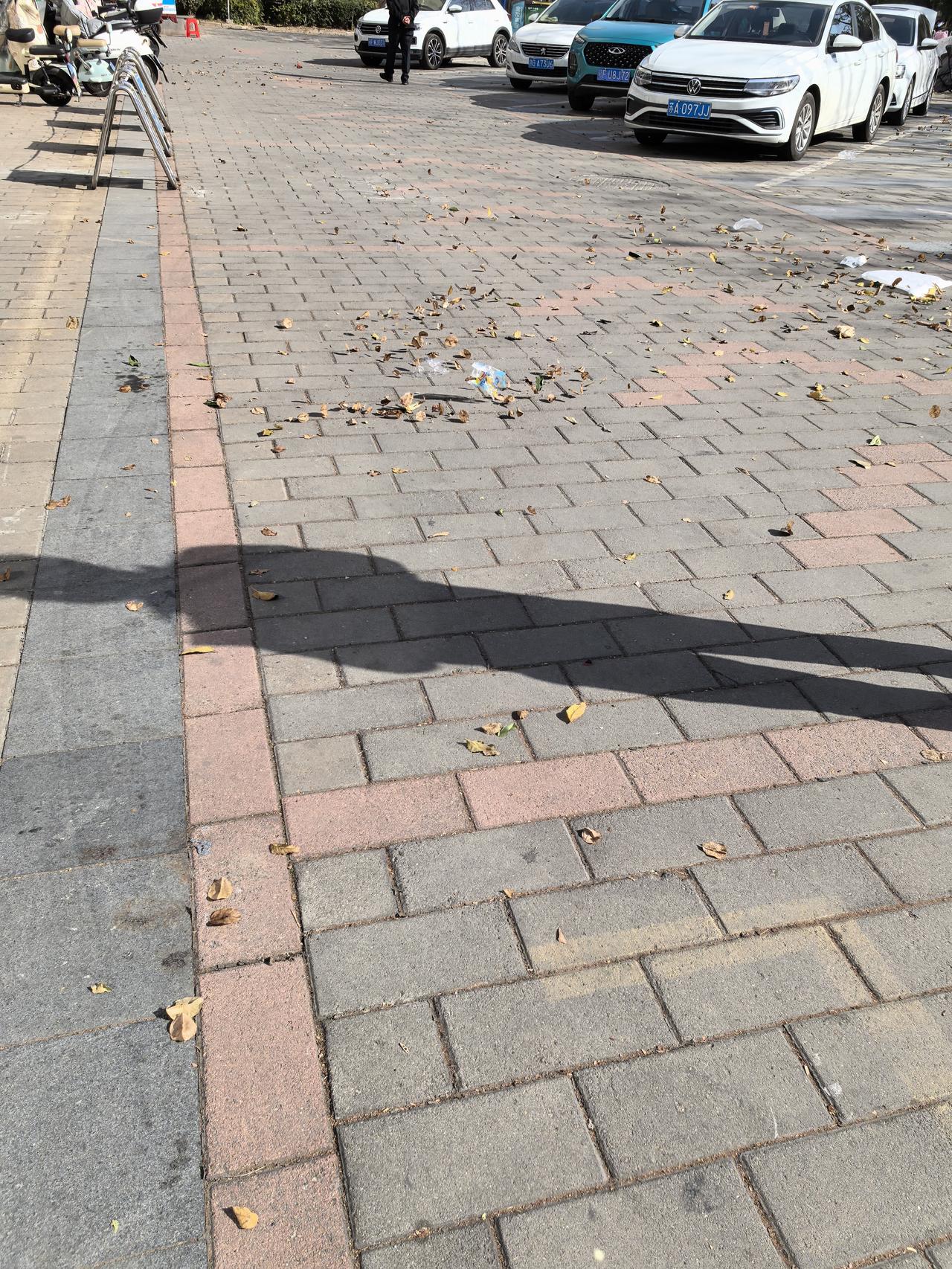 这是什么风？今日出门遛弯，阳光正好，可惜风太大了。一位环卫工人大哥说，早