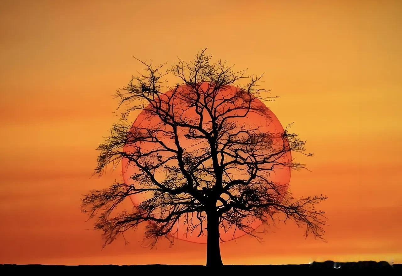 一定要警惕，尽量不要，和很久没有见面，很久没有联系的人，再有任何交集。