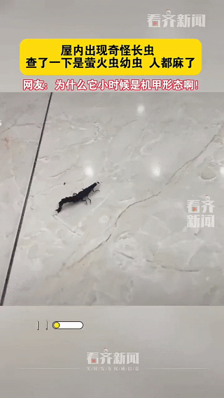 “感觉天塌了！”一男子打扫房间，发现自家地板上出现了一只奇怪的“长虫”，男子表示