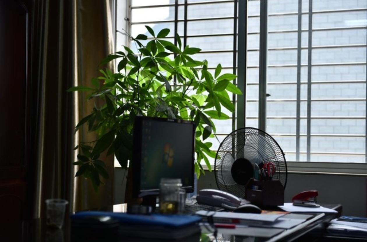 00后同事提加薪，老板秒批！而我这个十年老员工，却像个傻子一样站着。今天早上