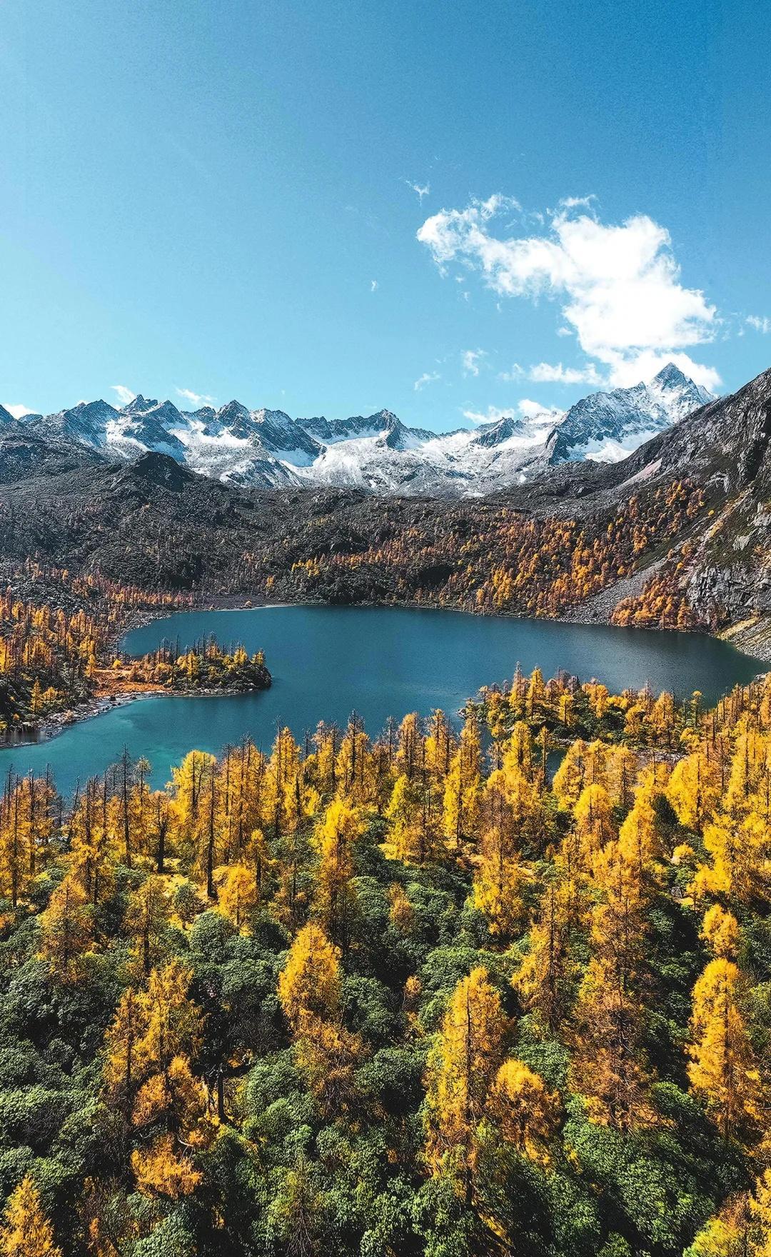 今年的秋天好短啊,又准备下大雪了今年川西的秋天比往年来得更晚了现在刚好最黄的