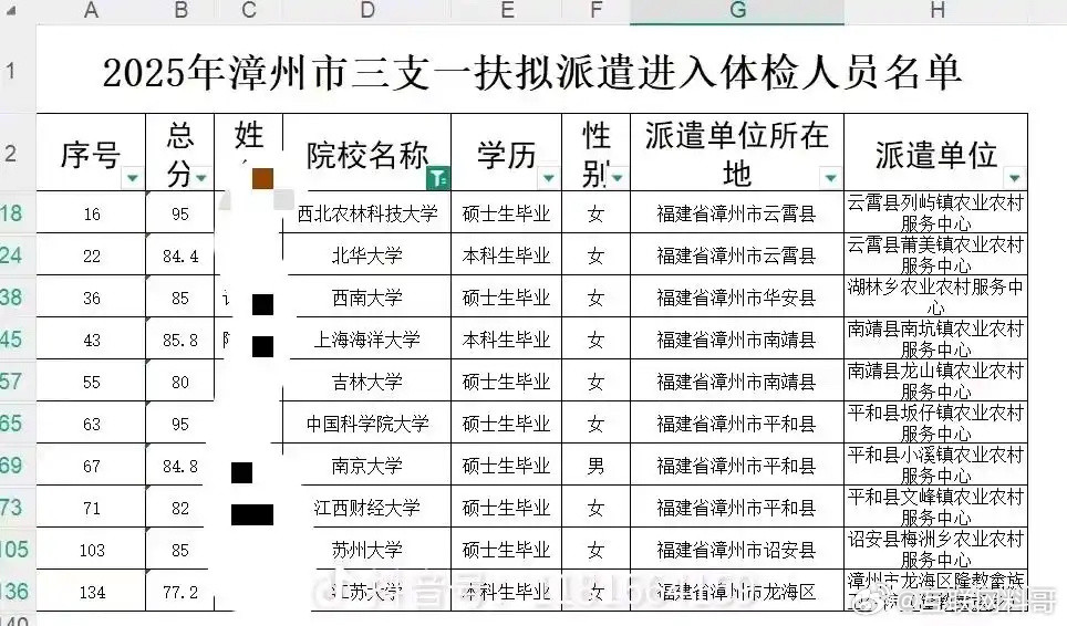 卧槽，这么多985高材生去三支一扶？不应该考公吗？​​​
