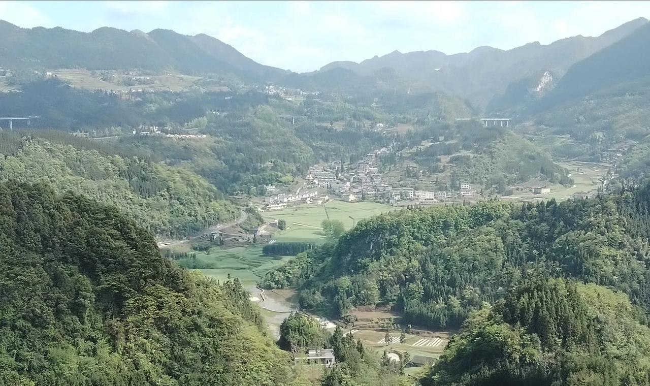 #农民都不种地了国家会面临哪些难题#国家不是单个的人或某一群人，是从事各行各业成
