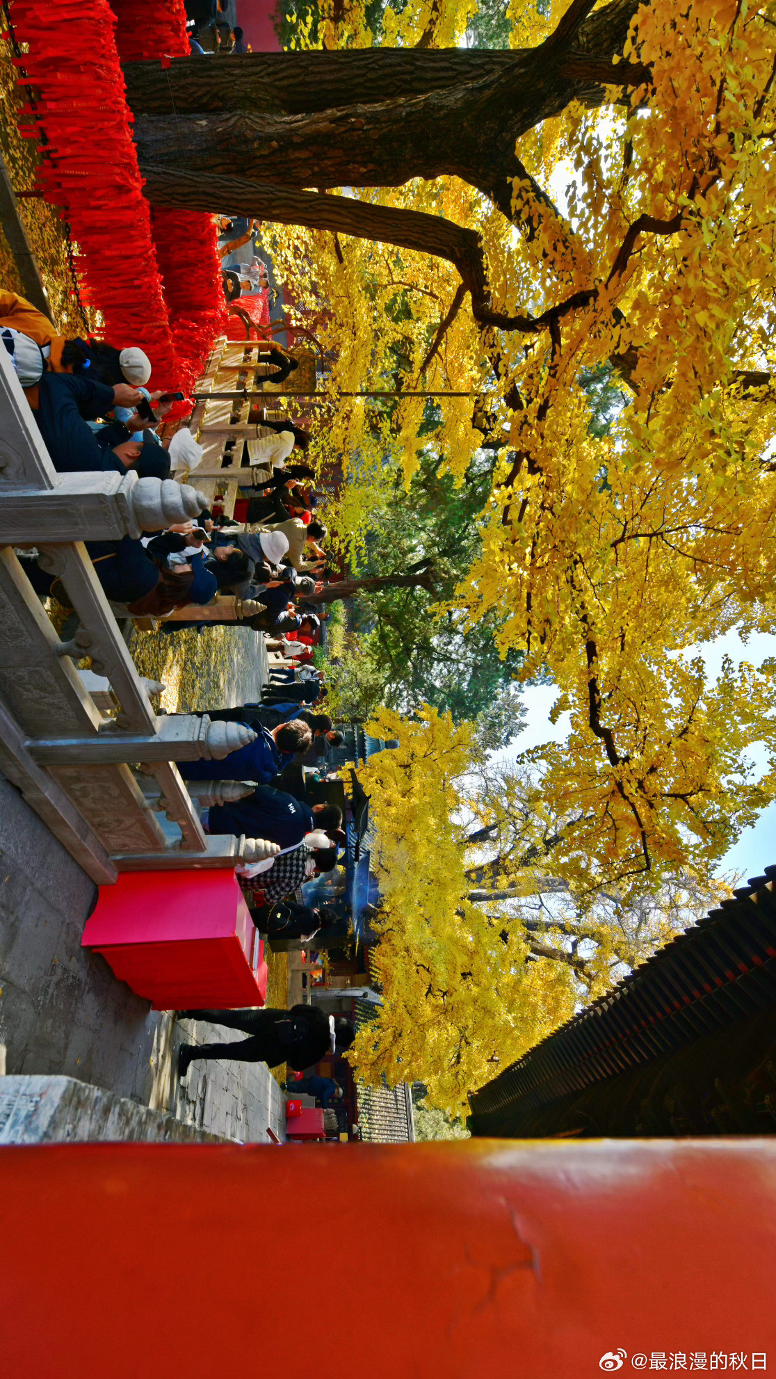 金色时光——北京红螺寺 北京秋日美景加载中摄影​​​
