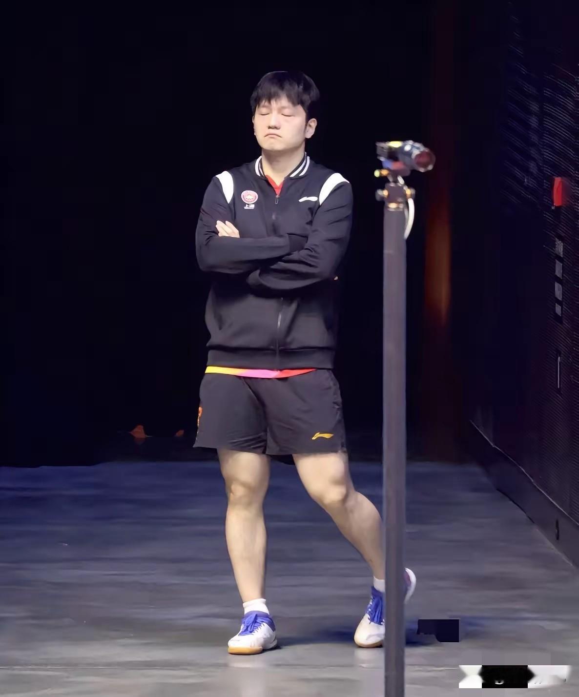 说实话，樊振东那个“2025年结婚”的承诺，我看压根不算啥黑点，那不过是十年前一