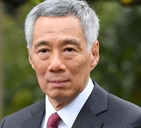 李显龙表示，真正的新加坡人要认清一个事实，新加坡不是华人国家，只是华人占多数而已