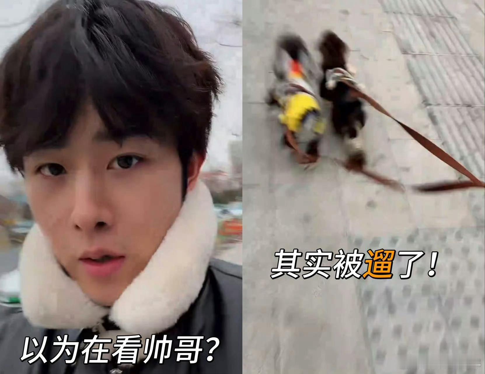 田嘉瑞直播被小狗缠住别人直播是偶像营业，田嘉瑞直播是狗营业。他在那头遛狗遛到喘