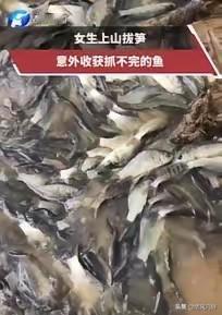 4月28日，贵州深山里，一名女子上山采春笋时，意外发现一处快干涸的水潭，泥里有不