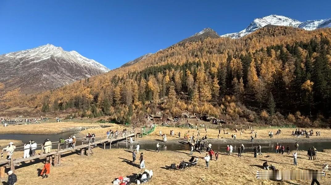 理小路值得一去！我走过很多地方，相比起来毕棚沟的秋天是我见过最美的景致，彩林，