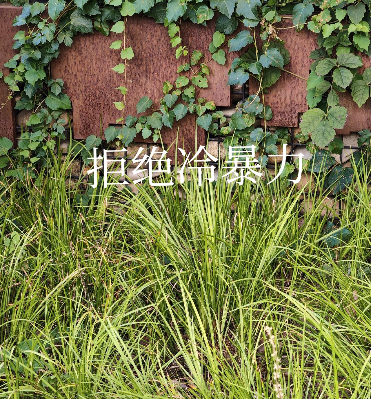 肿瘤科医生：★80%的癌症不是遗传的，是被"气"出来的，是家庭不和谐。。★