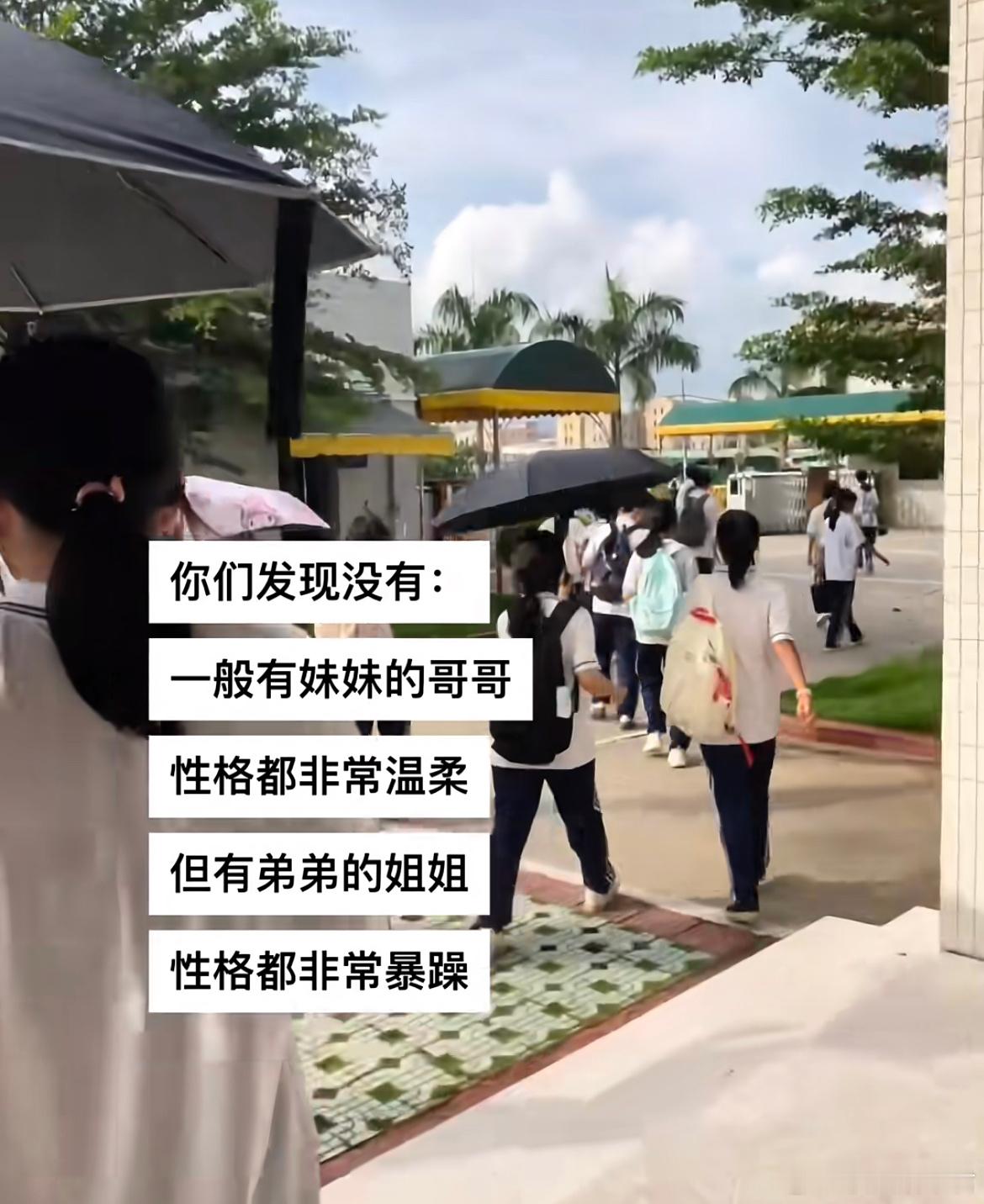 你们发现没有：​​​