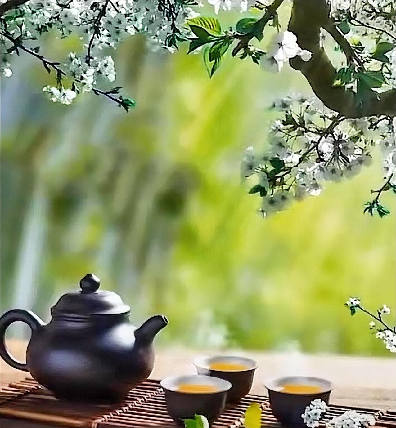 没有任何人能把你变得越来越好，让你越来越好的原因，是因为你一次次的经历，一次次的