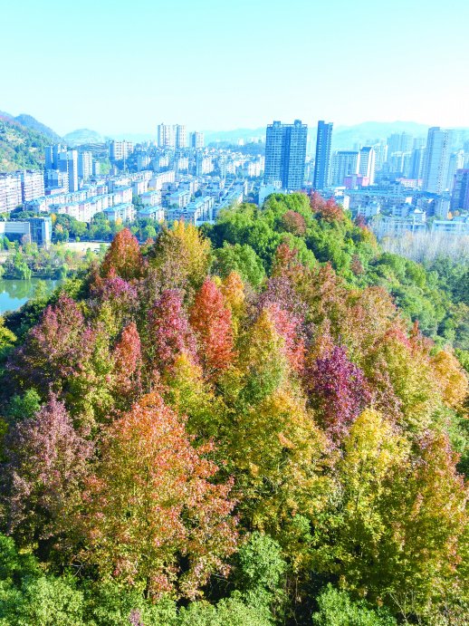 气温重返20℃, 湖南月底会有寒潮吗