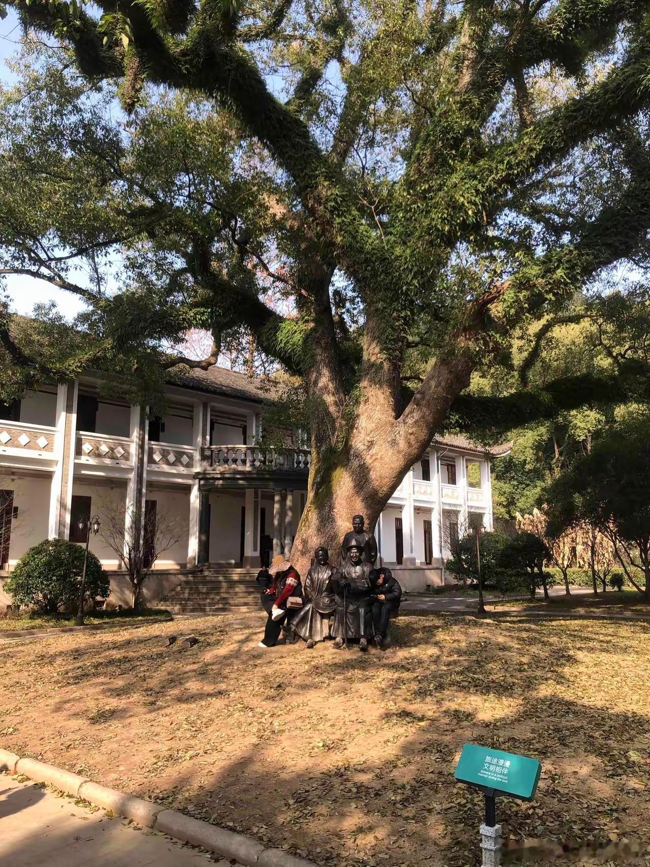 秋意渐浓🍂今年这退休金还涨不涨啊？​​​
