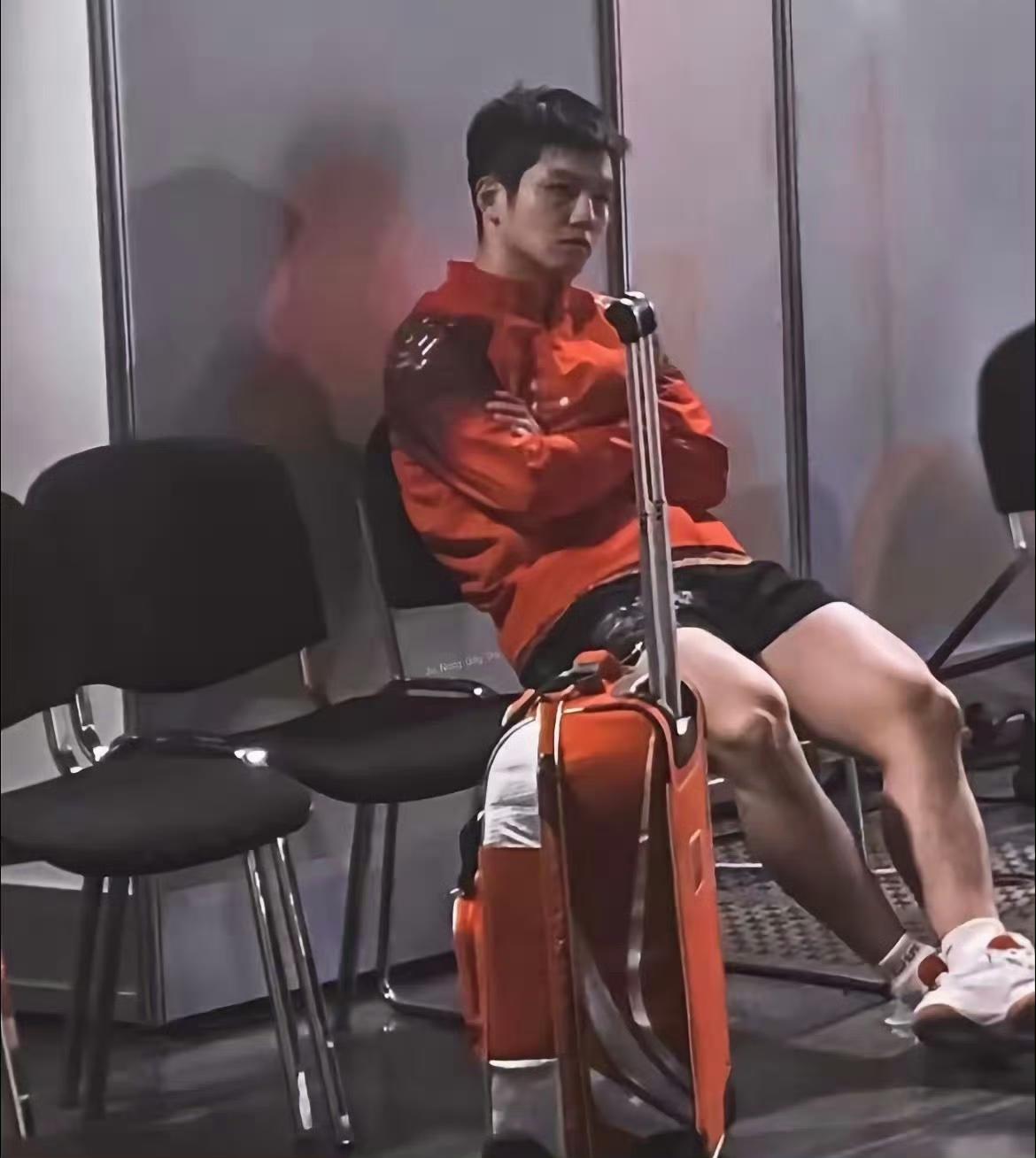 别随便给樊振东贴标签他的坚守没人能懂总有人轻易就给樊振东乱扣帽子随口就