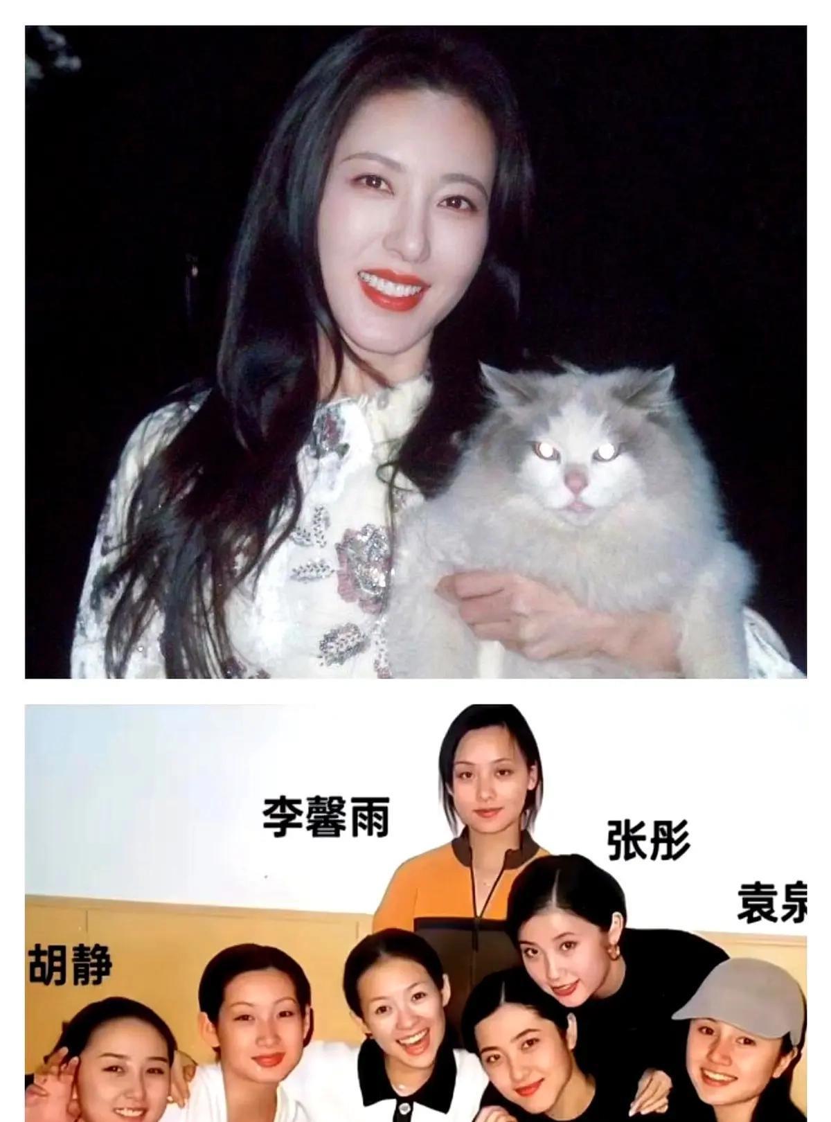破案了，中戏200年一遇校花，不火真的是有原因。秦海璐有回聊起曾黎就笑岔气：“