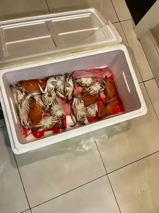 男朋友蒸好，寄过来的，有爱吧？