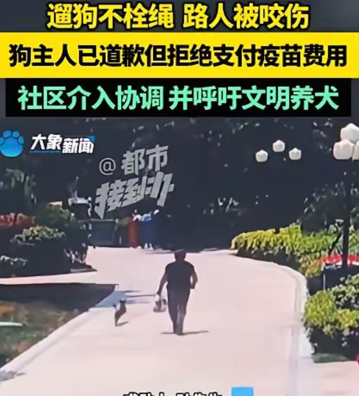 河南，女子遛狗不牵绳，孙先生路过被狗咬伤。女子起初让孙先生去救治，孙先生打完5针
