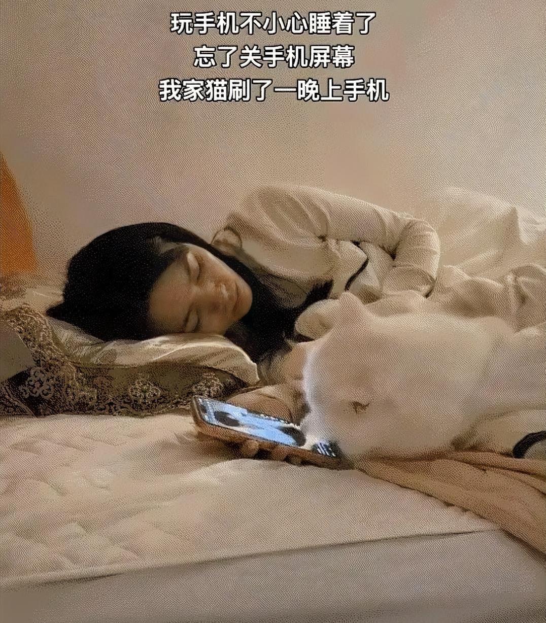 在床上刷短视频刷到眼皮打架，迷迷糊糊睡着后，家里的猫咪居然悄悄上手了手机！