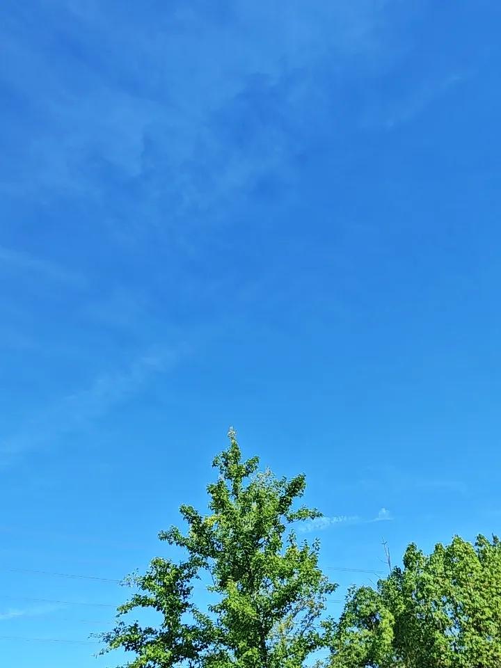 养生最大的“坑”，就是三伏天还在瞎折腾！人一过四十，最怕什么？怕气色垮、怕