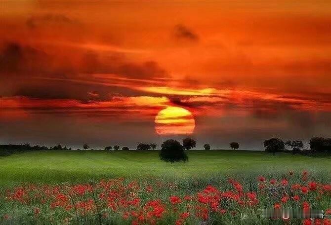 最想到的是太字，太阳每天升起，照耀世间万物，阳光明媚温暖，充满着美好的希望！