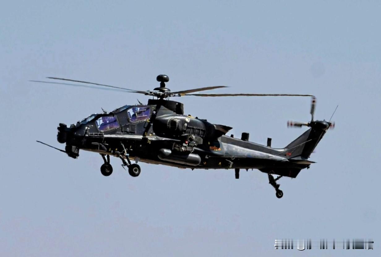 加装毫米波雷达的新型WZ-10，更新的还有全套自卫和卫通航电系统。在重型武直WZ