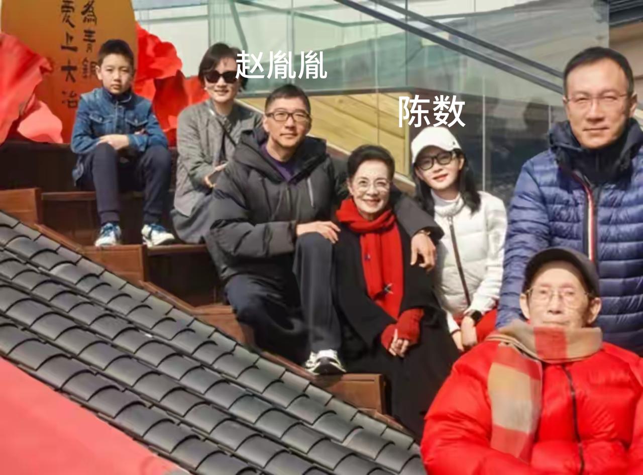 陈数赵胤胤这对夫妻，男的多金帅气有才华，女的年轻漂亮有气质，可为啥他们俩结婚这么