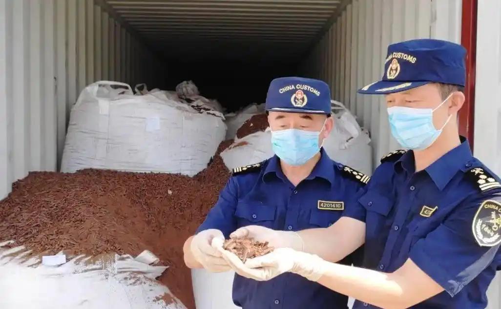 触目惊心！国安部最近公布了一则消息，特大稀土走私黑幕被记者揭开，这些伪装术太猖狂