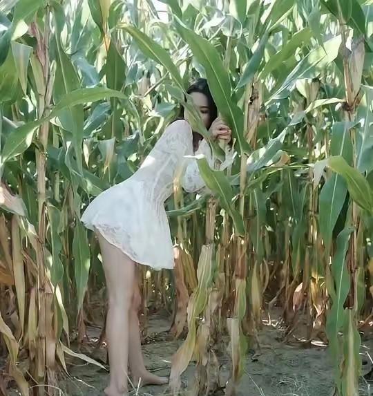 这么多蚊子穿个短裙还来偷玉米可算逮住了长这么漂亮这也不忍心说她吧[捂脸哭]