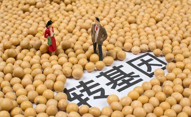 转基因大豆油有害且致癌? 工程院院士: 超80%国人吃过转基因食品