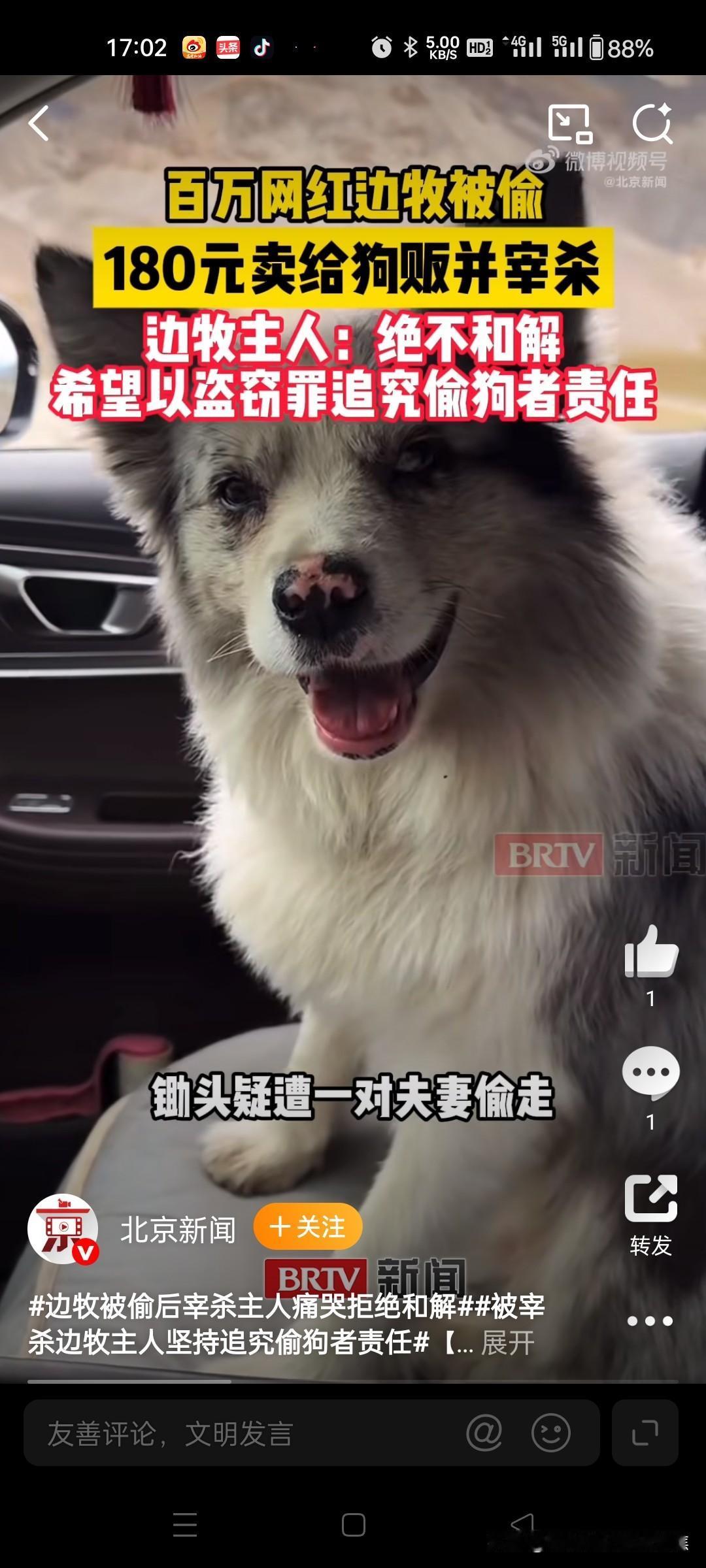 百万粉丝网红边牧“锄头”被偷后以180元转卖宰杀，主人郭先生拒绝和解，坚持追究偷