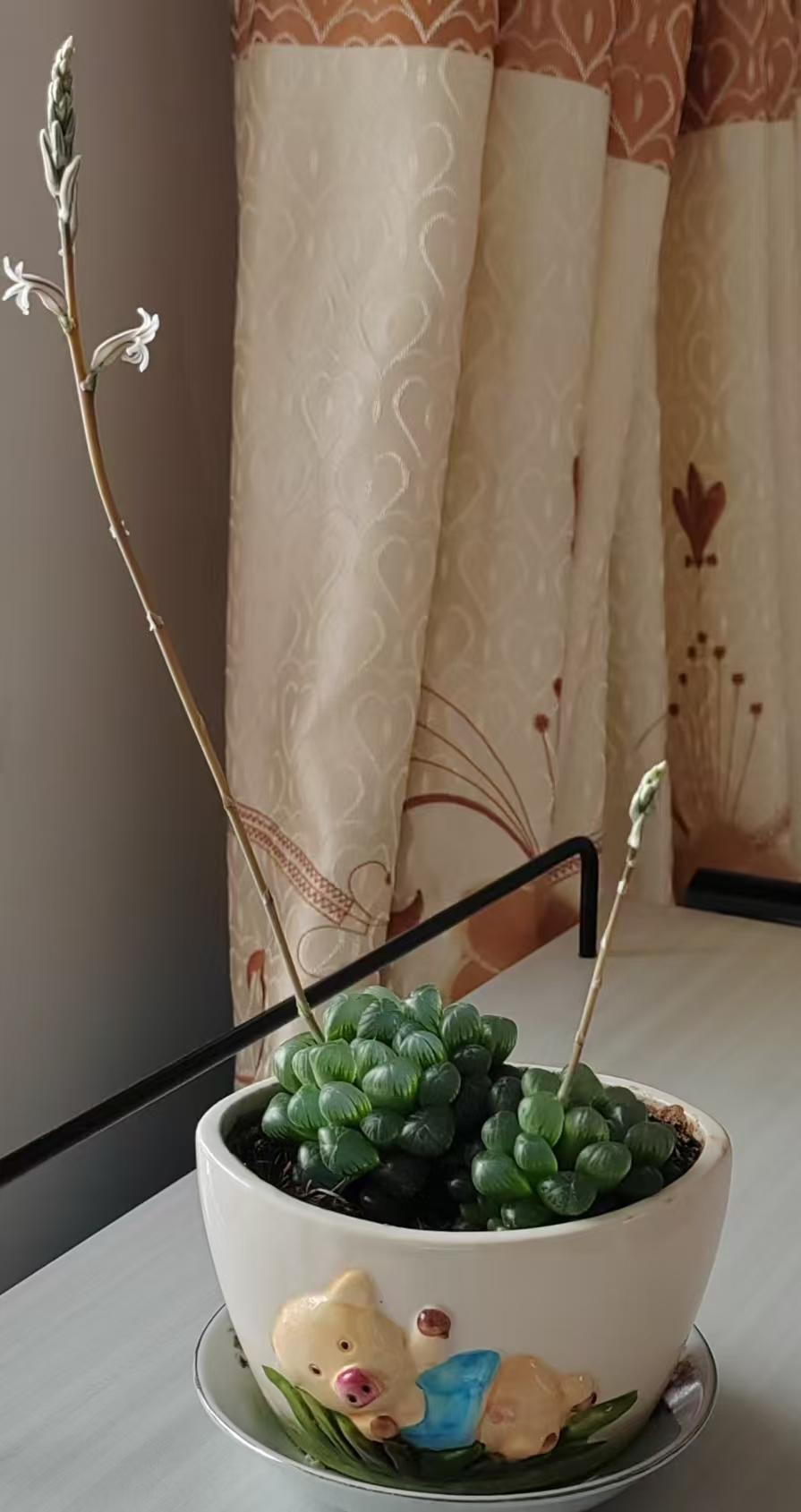 6个清脑穴位，告别头昏脑涨、记忆力减退