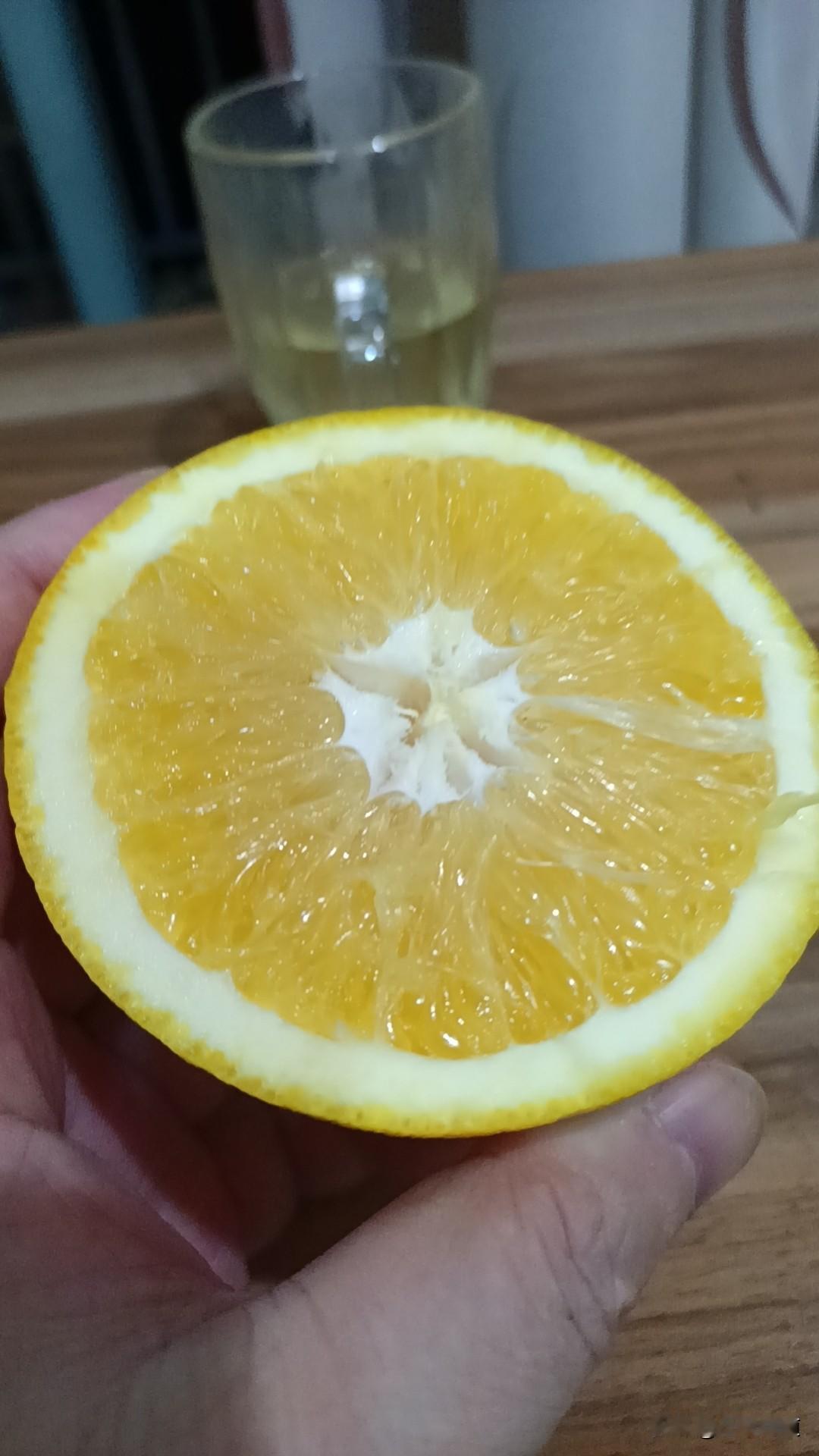 柚子橙🍊味道很不错，感谢杂交技术，感谢默默耕耘的广大农业科研人员，感谢为了理想