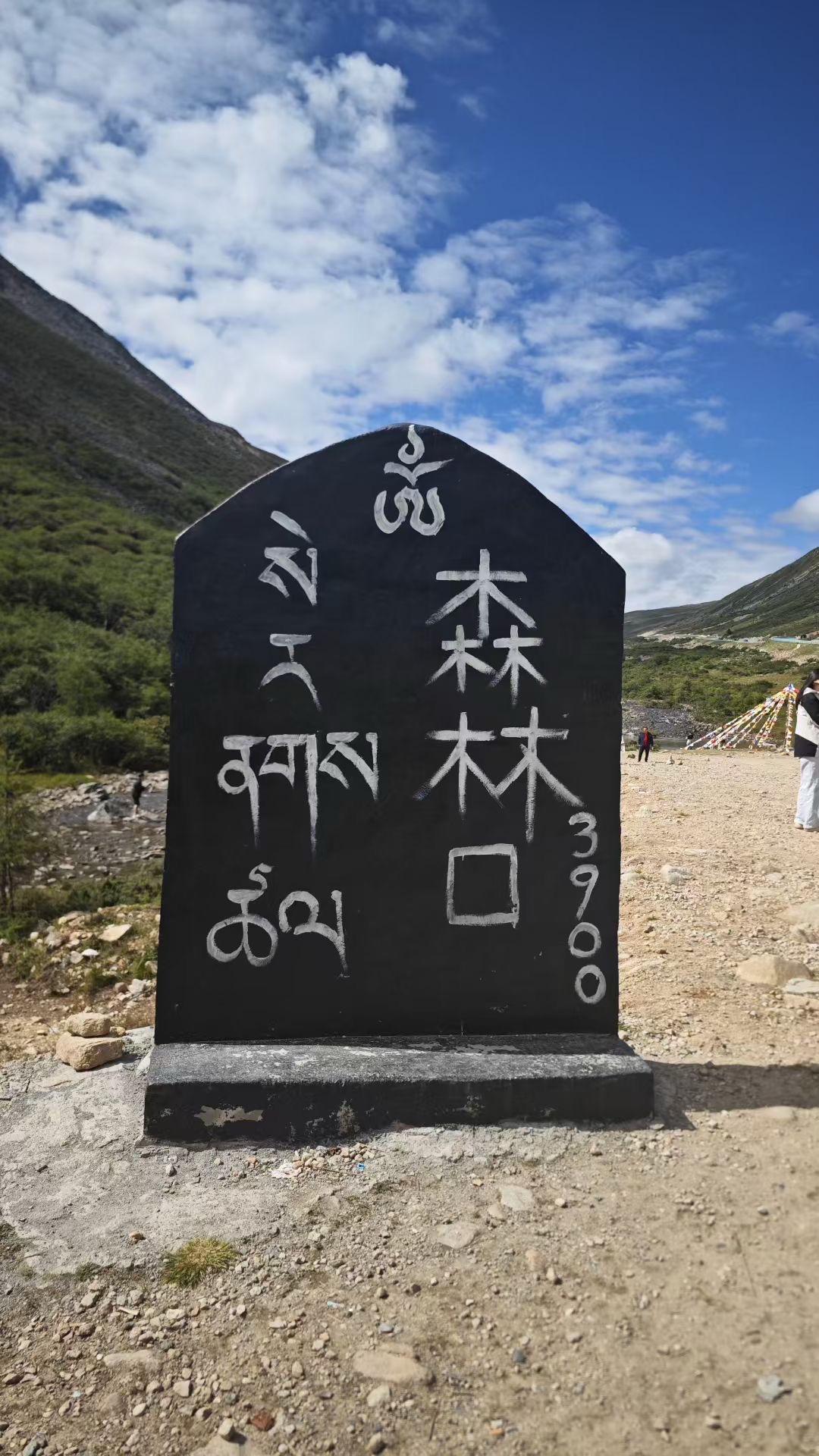我在川西高原很想你……