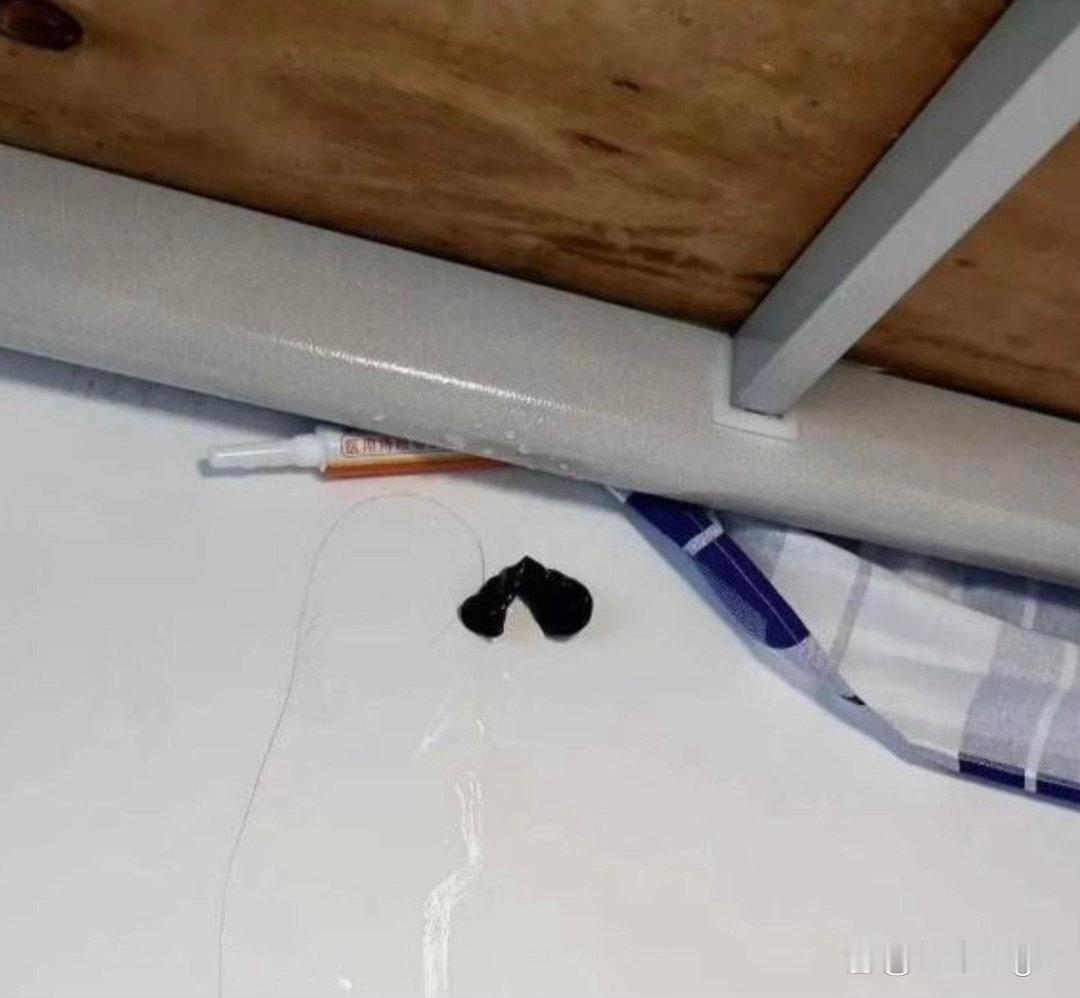 室友床上掉下来的我到底要不要告诉他呀