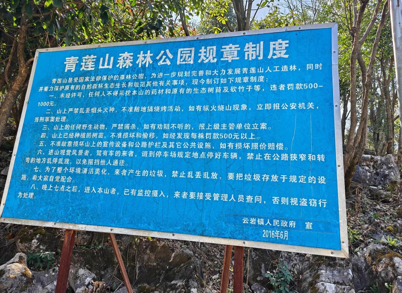 🌿青莲山森林公园游玩必看！🌳守护城市绿洲，文明游玩更开心！