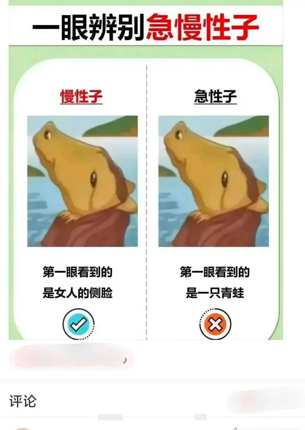 怎么看都是马
