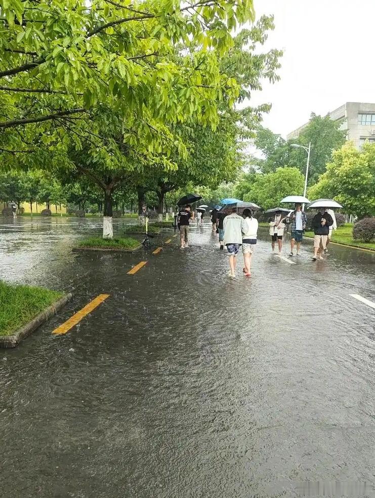雨是天空写给大地的温柔情书～寻美河南