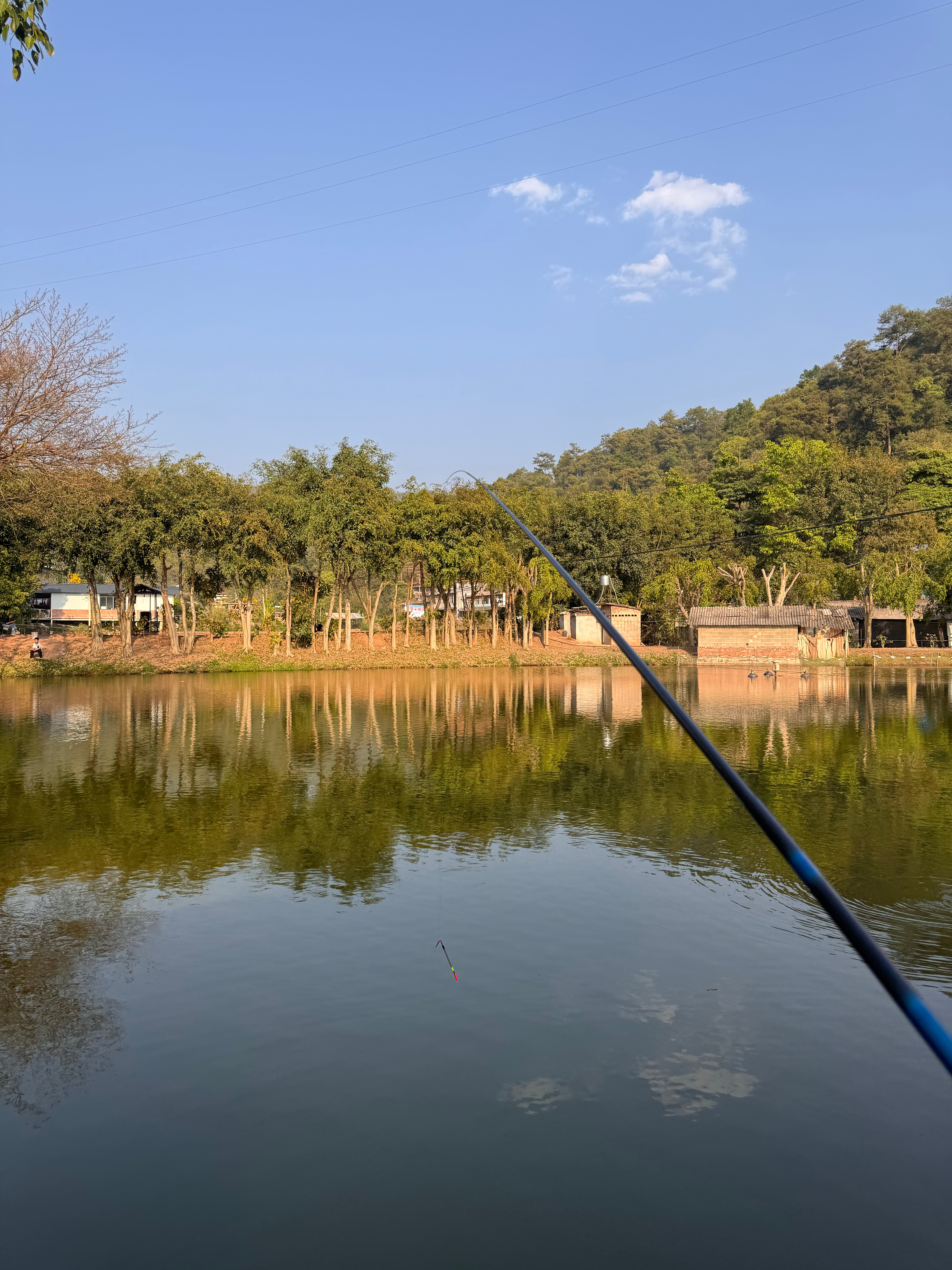 我觉得自己好牛…第一次钓鱼就成功掉到了！