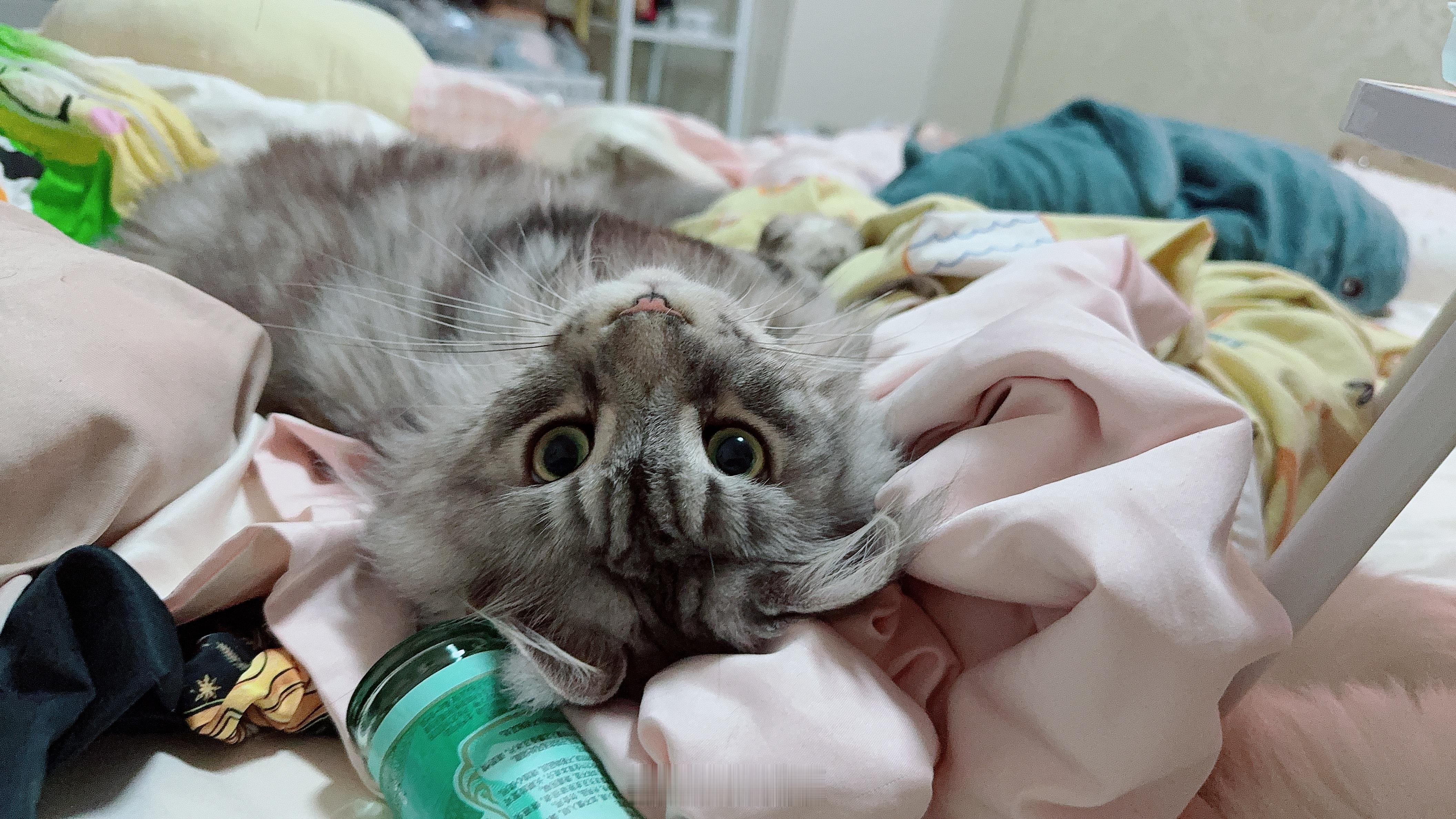 千奇百怪的小表情