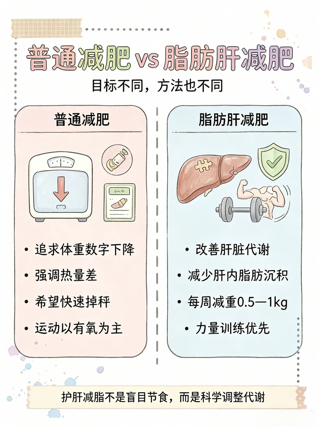 脂肪肝减肥≠普通减肥！别再盲目饿肚子了