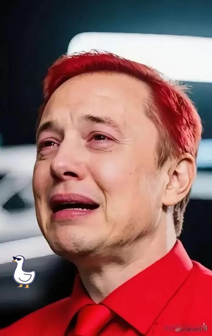 全球首例！中国出手禁隐藏式门把手，马斯克这次栽大了！特斯拉带火的这个设计