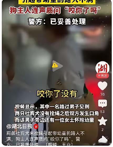 说真的，现在养狗的违法成本低到离谱！就拿丹阳那事说，杜宾犬咬人了，主人还特横，不