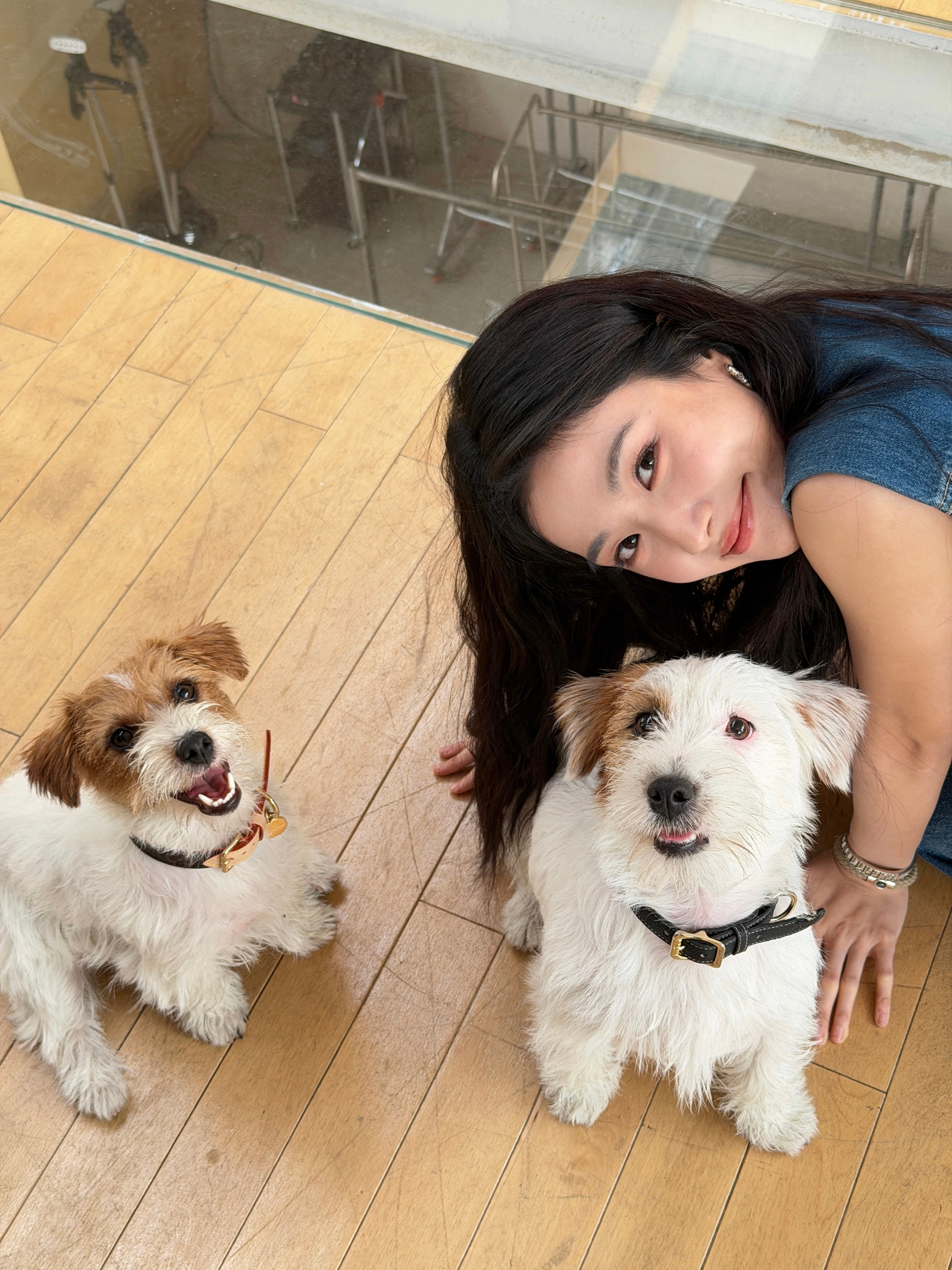 卢昱晓和她的小狗日常好萌好有爱的画面🐕