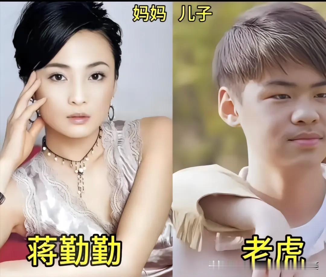 内娱一众女明星与儿子同框影像。蒋勤勤&老虎、应采儿&陈胤羽、王艳&王泓钦曹颖