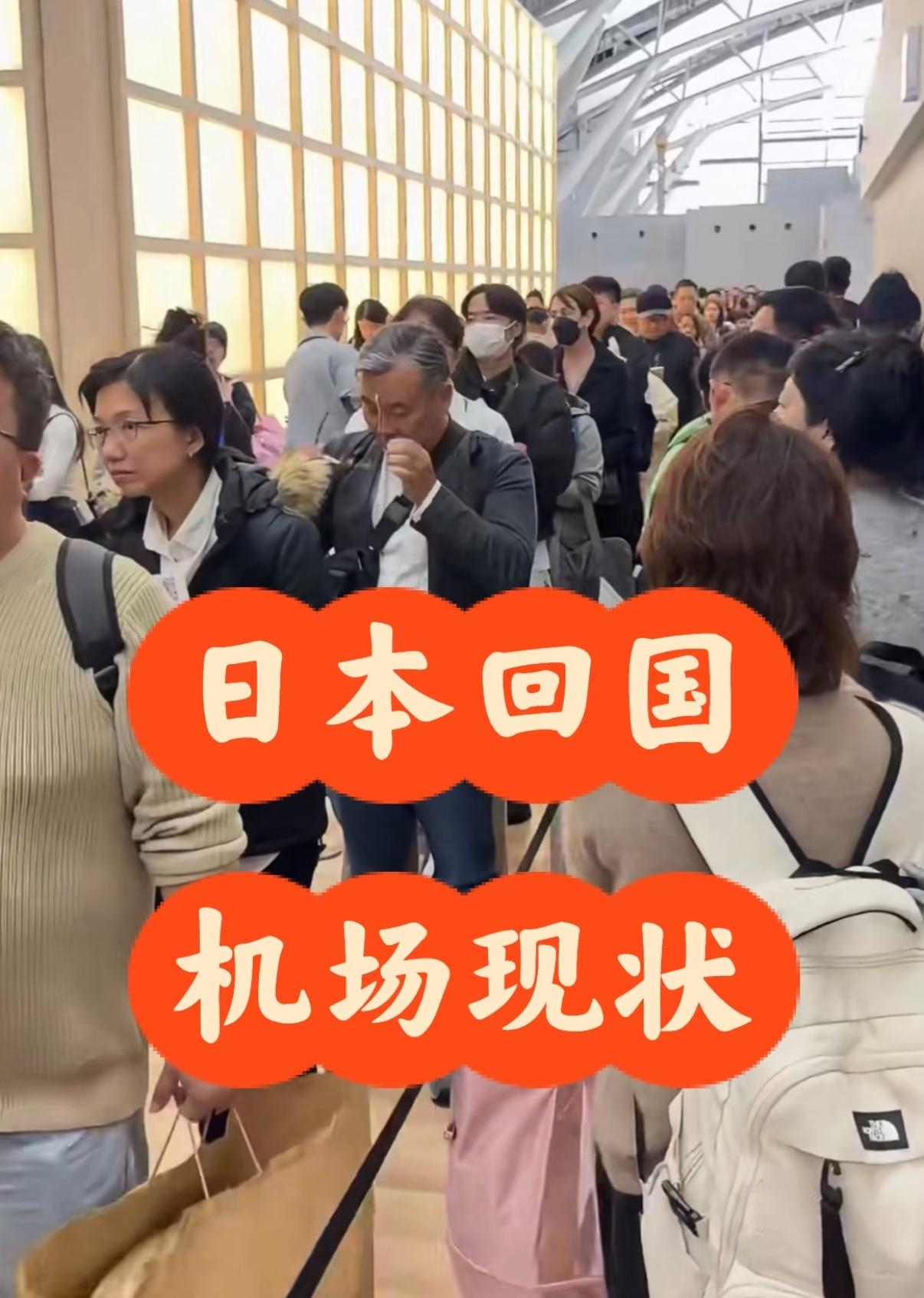 是不是很意外！被困在日本机场的同胞里，大多是企业家和海外购物者，普通上班族、
