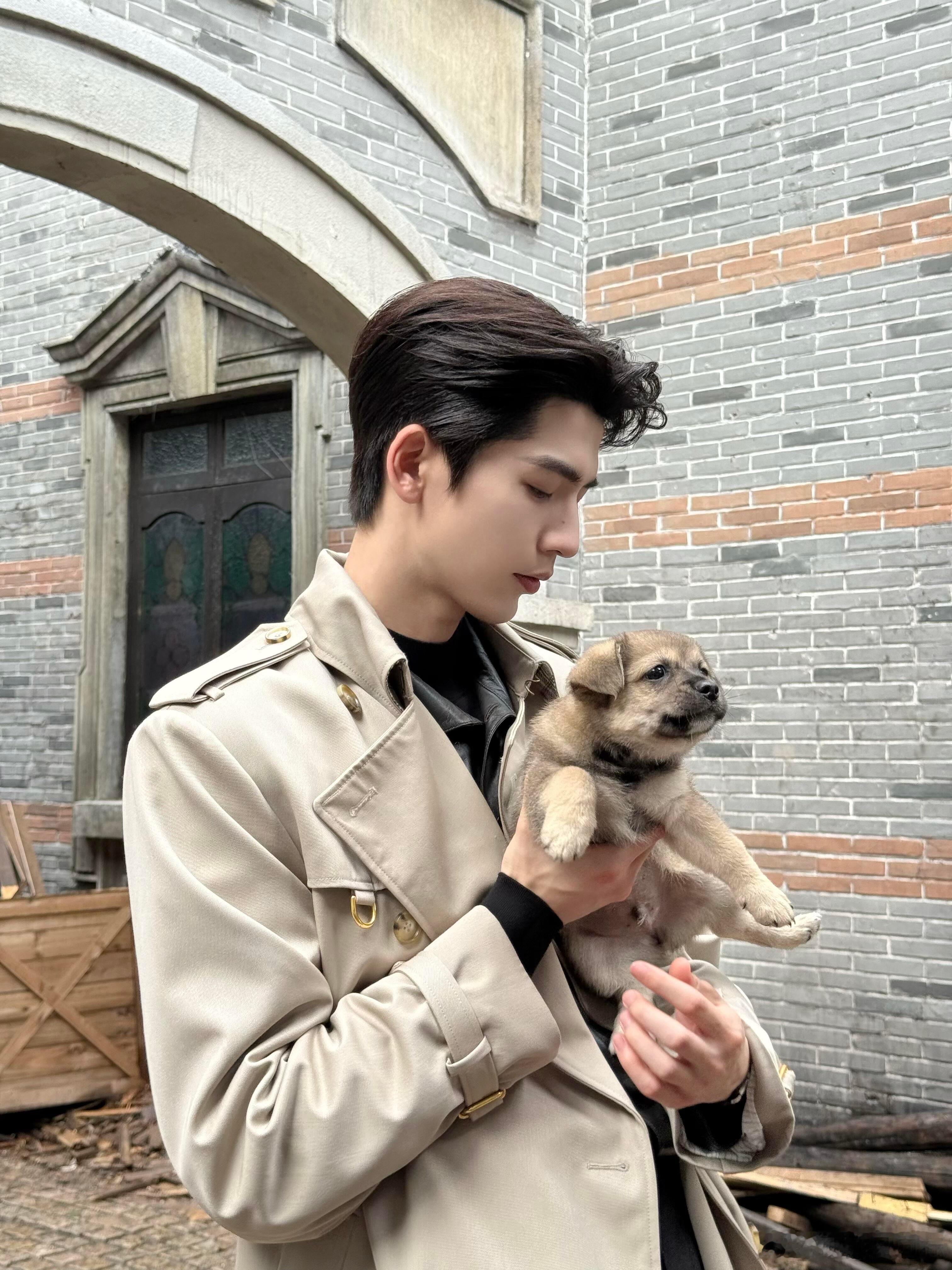 小狗走开，让我来[doge][doge][doge][doge]​​​