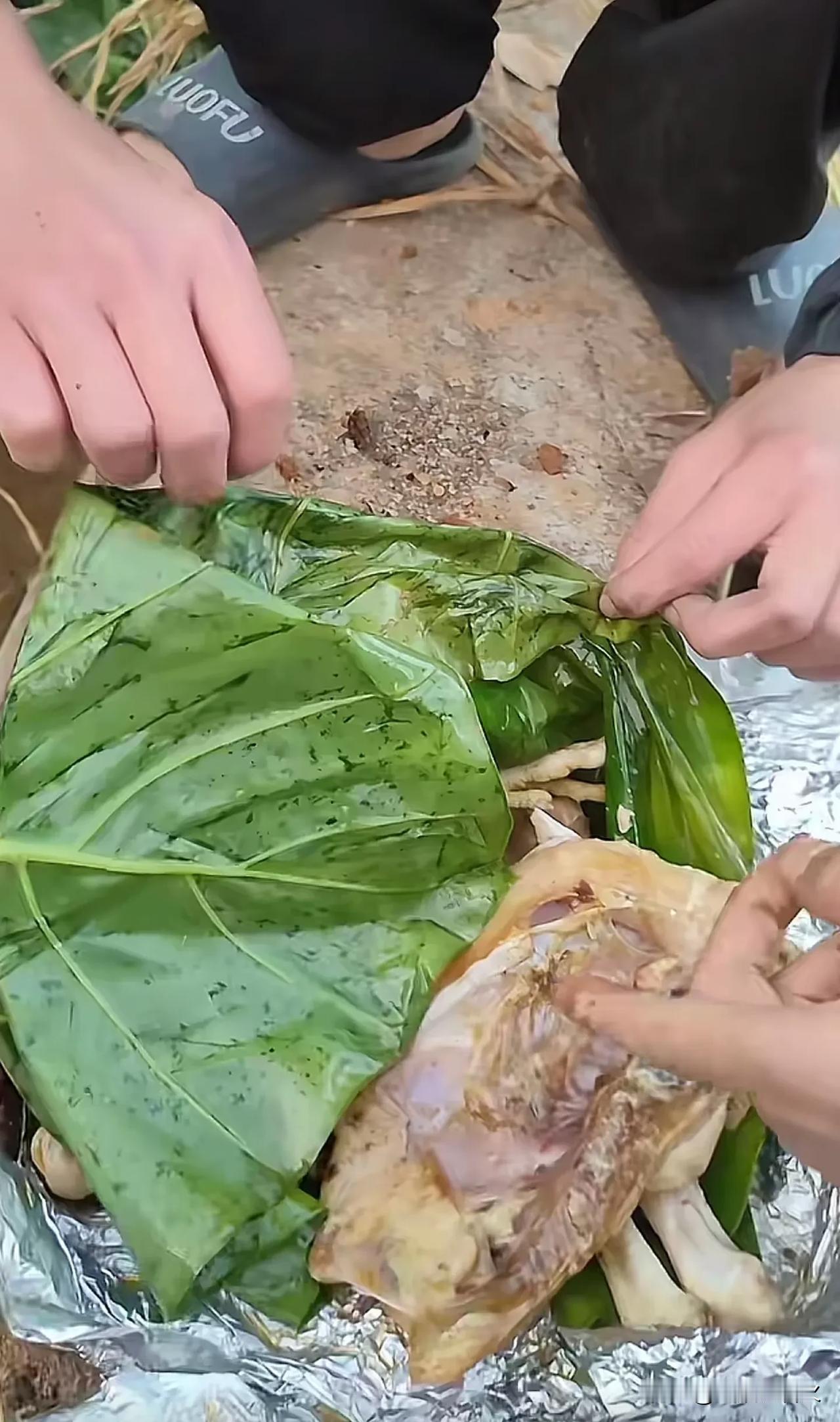 这是滴水观音的叶子啊，幸亏没熟，不然后果不堪设想！广东，3名十来岁的小孩，跑