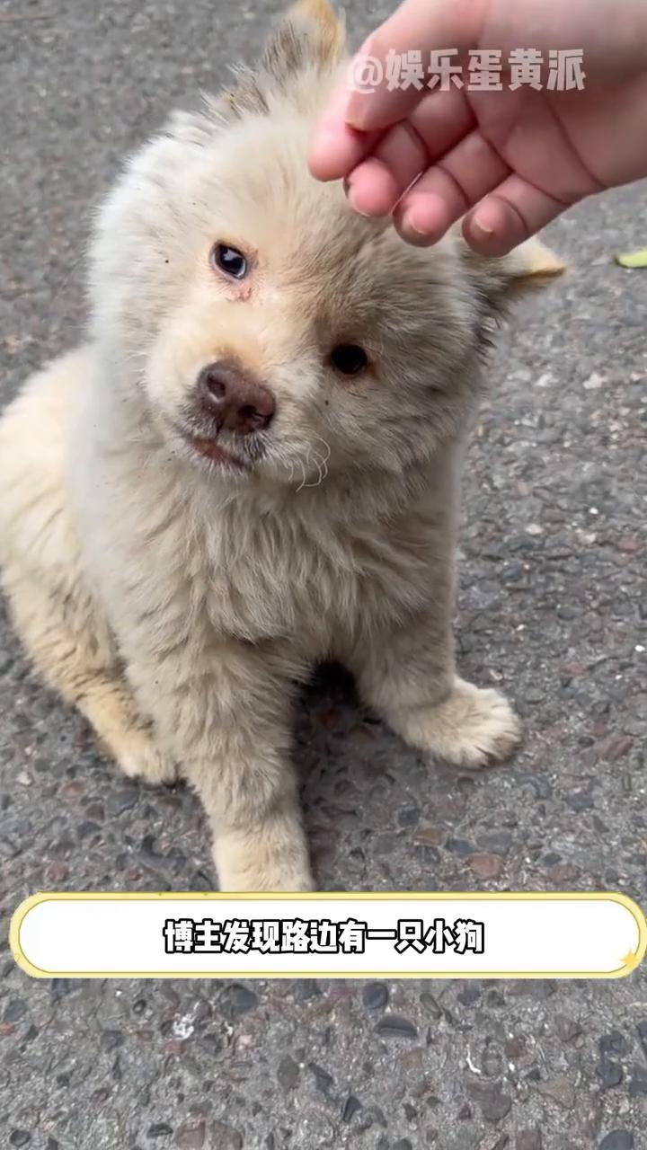 虐待动物的痛都会百倍干倍反噬到他自己身上。娱乐蛋黄派。虐待动物的人百倍反噬，