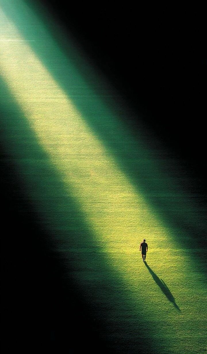 钱就是能量的化身，增强能量的46种方法：1.太阳下暴晒。（极为重要）2.拥抱大树